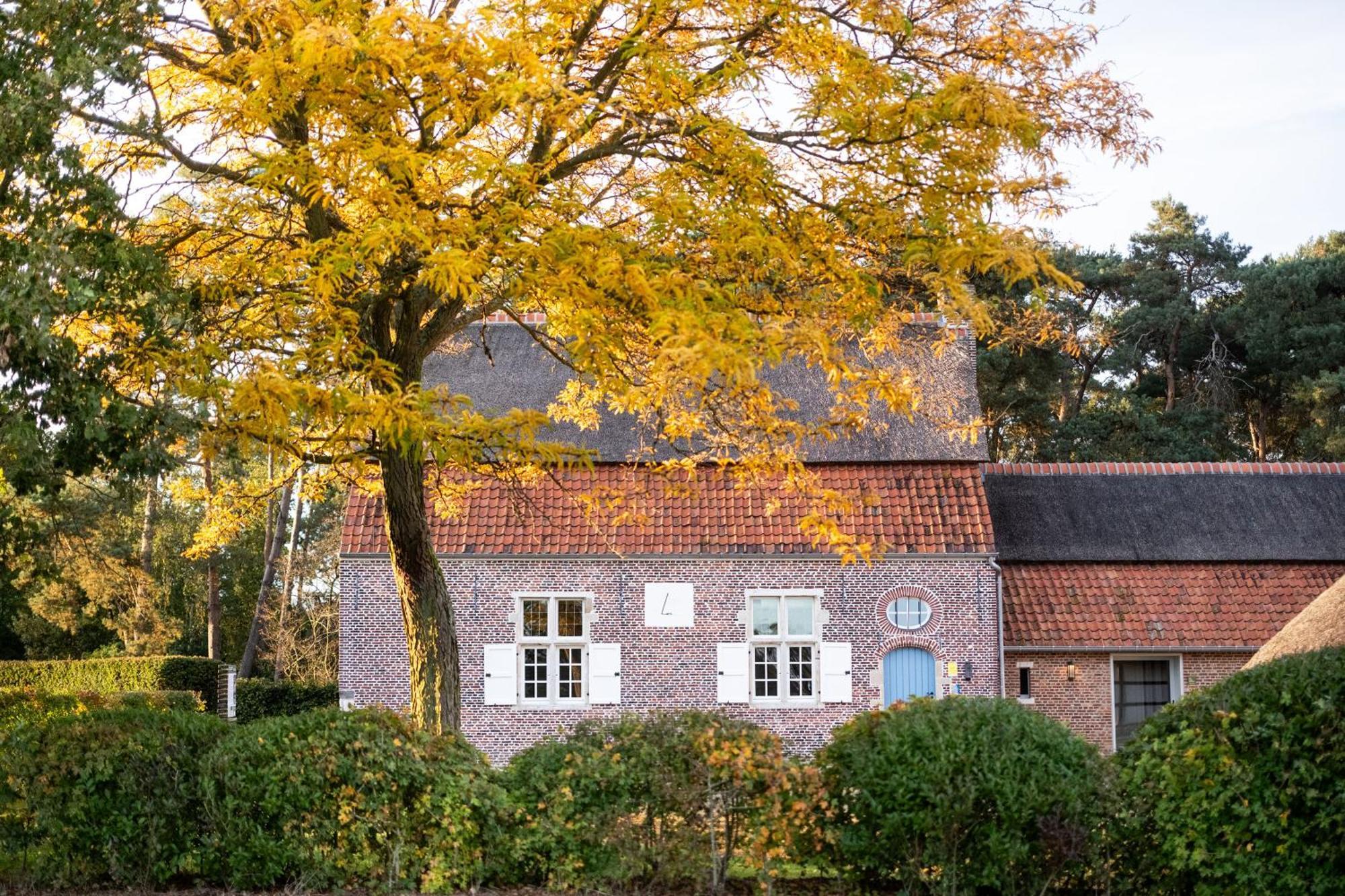 Beddermolen - Molenhuis Op Historisch Erfgoeddomein Westerlo Eksteriør billede